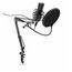  Микрофон Ritmix RDM-180 черный 