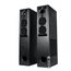  Музыкальный центр DIALOG AP-2500 Progressive черный 