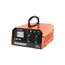  Зарядное устройство Patriot BCI 10A (650303410) 