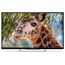  43" Телевизор Polarline 43PL51TC-SM черный 1920x1080, Full HD, 60 Гц, Wi-Fi, Smart TV, Android TV 