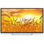  32" Телевизор PolarLine 32PL53TC-SM черный 1920x1080, Full HD, 60 Гц, Wi-Fi, Smart TV, Android TV 
